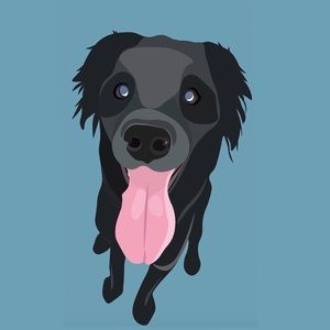 Meet your Posher, Clare